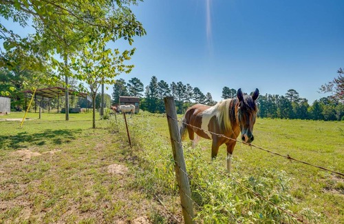 Claiborne Parish Casa | Peaceful Haynesville Vacation Rental with Yard!