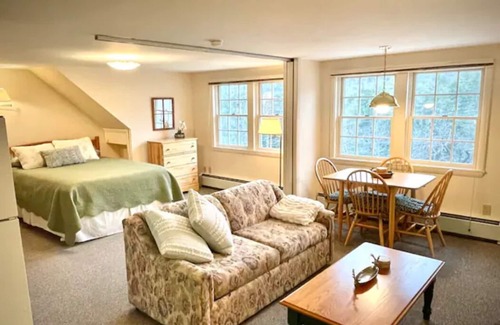 North Woodstock Apartamento | Peaceful Mtn Studio Pet-friendly