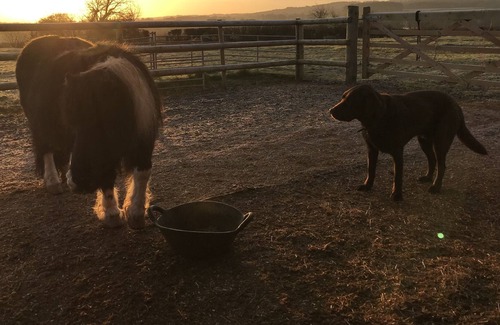 Fiddington Casa | Peaceful Somerset Retreat With Views Over Quantock Hills