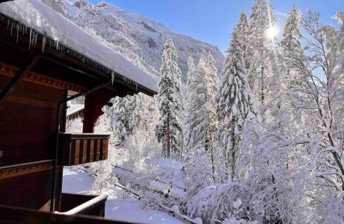 Blausee Apartamento | Peacefull Mountains View