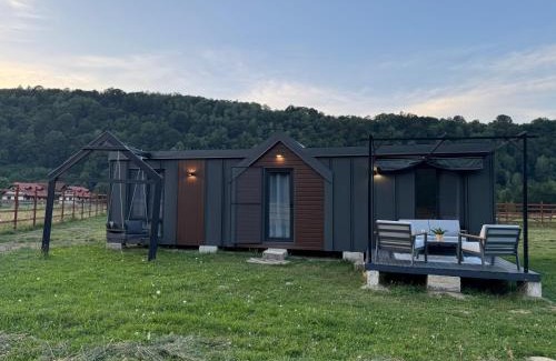 Zarnesti Cabina | Peak View Tiny House