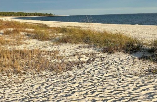 Carrabelle Cabaña | Pearl of Carrabelle Dog friendly, close to restaurants, shops and beach.