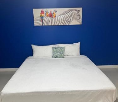 New Kingston Apartamento | Pearl of the City LIGUANEA