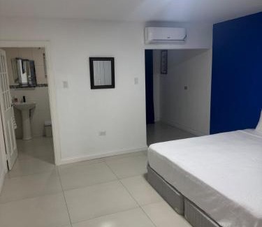 New Kingston Apartamento | Pearl of the City LIGUANEA