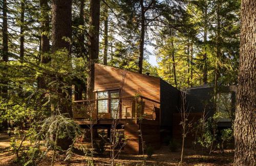 Pedras Salgadas Complejo | Pedras Salgadas Spa & Nature Park