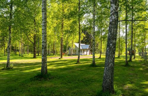 Nina Otro | Peipsi Caravani puhkemaja