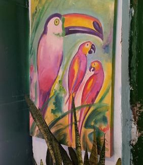 Pelourinho Casa | Pelourinho House Experience
