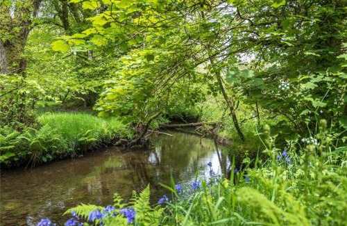 Llanfyrnach Otro | Pembrokeshire Yurts - Badger