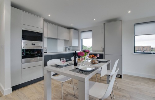 Pontcanna Apartamento | Pen Dinas Cardiff Apartment