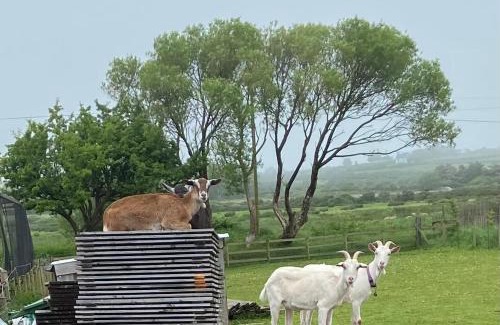 Newborough Casa | Pen llyn holiday cottages and caravan