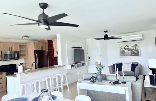 Sardinera Condominio | Blue Heron