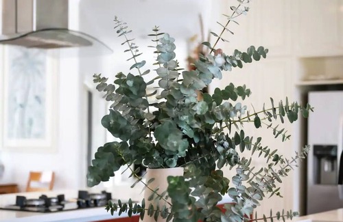Boneo Casa | Peninsula Flower House