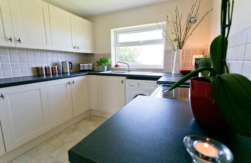 Ty Croes Cabaña | Penlon - a dog that sleeps 4 guests in 2 bedrooms