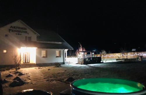 Cristian Casa | Pensiunea Artemis