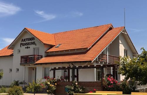 Cristian Casa | Pensiunea Artemis
