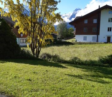 Lenk Hotel | Pension Alpina