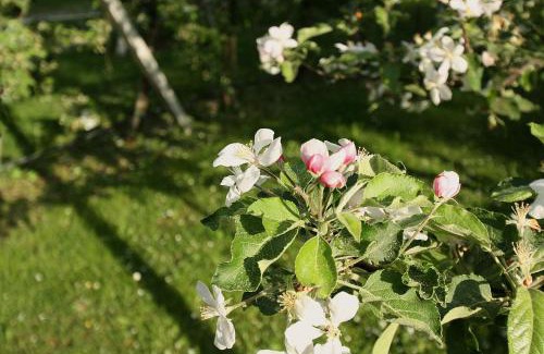 Obermieming Casa | Pension Bauernhof Spielmann