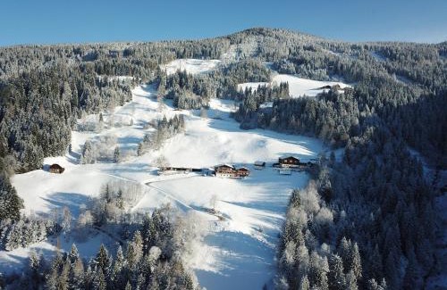 Pichl-Preunegg Casa | Pension Bergbauernhof Irxner