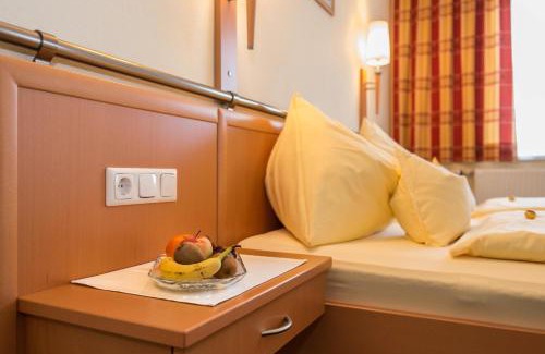 Russbach am Pass Gschuett Casa | Pension Elisabeth