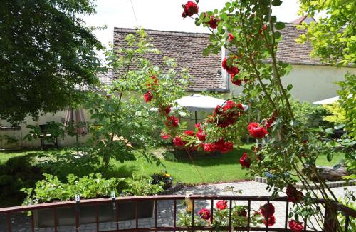 Sibiu Casa | Pension GreenHouse