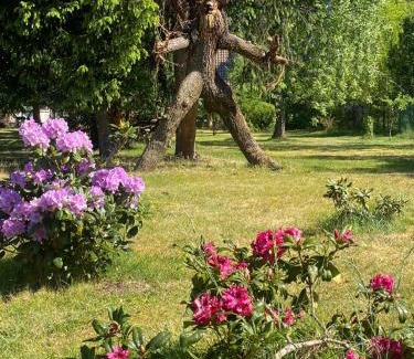 Markische Heide Casa | Pension Haus zum See