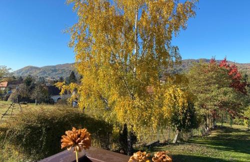 Corbeni Casa | Pension Irina
