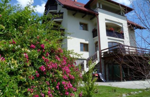 Corbeni Casa | Pension Irina