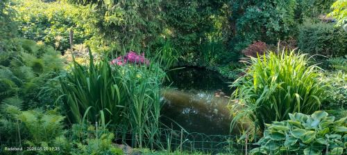 Radebeul Apartamento | Pension Kaden