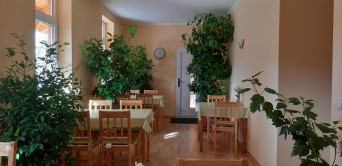 Naundorf Casa | Pension Lehmann