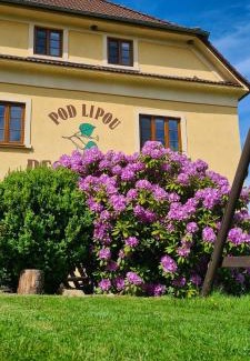 Loucovice Casa | Pension Pod Lipou