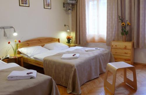Zizkov Hotel | Pension Prague City