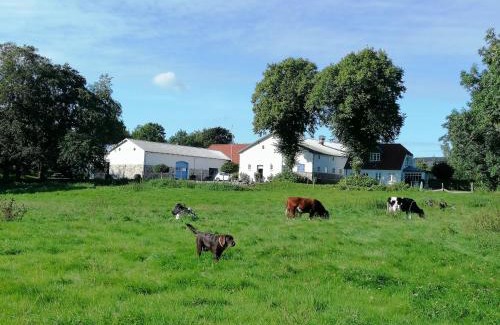 Rodding Casa | Pension Slotsgaarden jels
