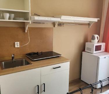 Vysehrad Apartamento | Pension Sunflower