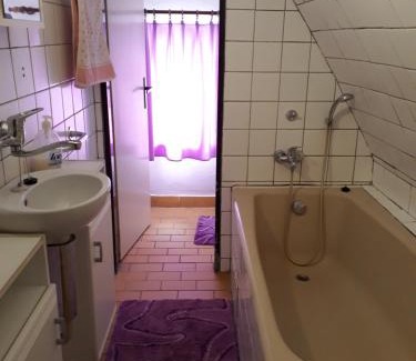 Jivka Apartamento | Pension u Adršpachu - Dana Tyšerová