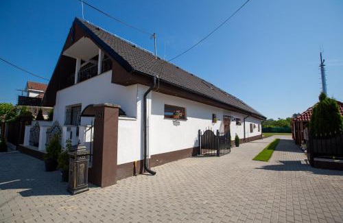 Tomasikovo Casa | Pension -Villa Vintage Room B 104