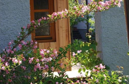 Oberhaag Apartamento | Pension Wolkenreich