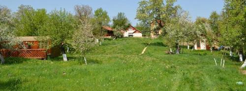 Sarmizegetusa Casa | Pension Zamolxe