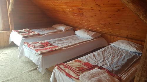 Sarmizegetusa Casa | Pension Zamolxe