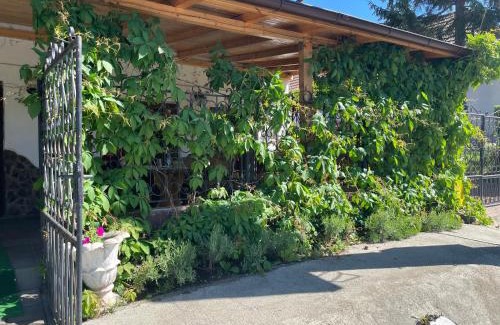 Axente Sever Apartamento | Pensiune cu restaurant