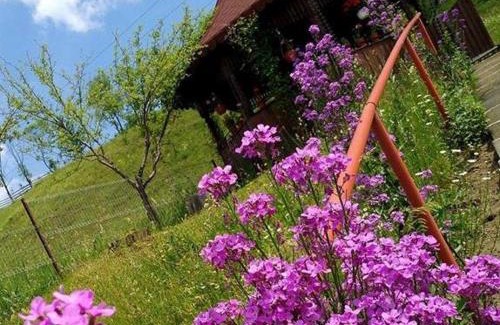 Moldovita Casa | Pensiunea Agroturistica Stefan Viorica