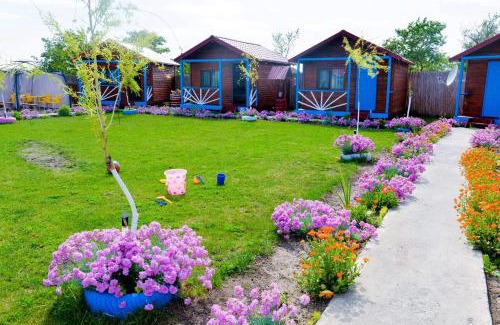 Murighiol Casa | Pensiunea Alessia Murighiol