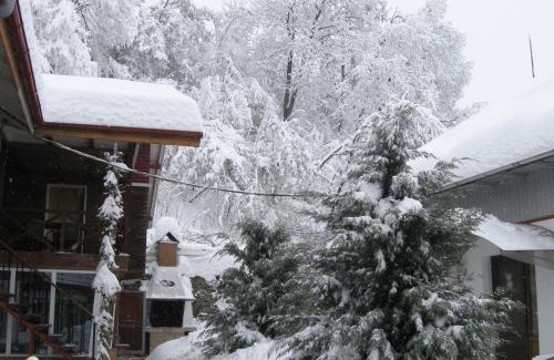 Izvoarele Casa | Pensiunea Amo