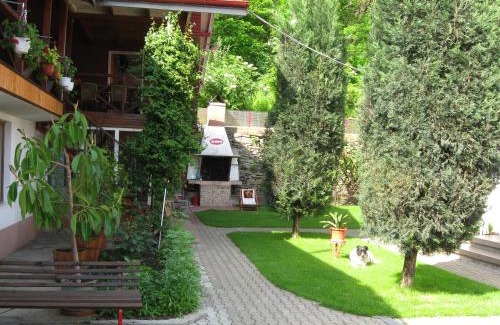 Izvoarele Casa | Pensiunea Amo