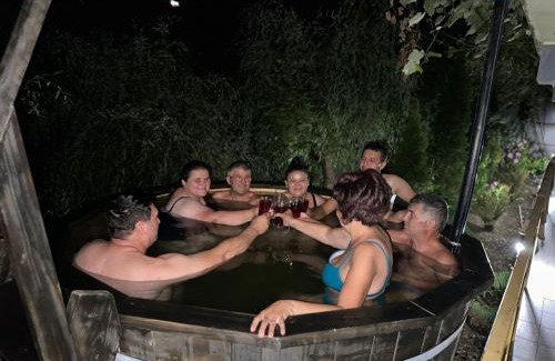 Baile Herculane Casa | Pensiunea Argus