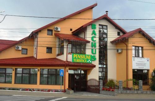 Piatra Neamt Casa | Pensiunea Bachus