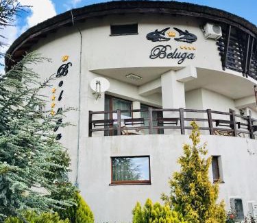 Colina Casa | Pensiunea Beluga
