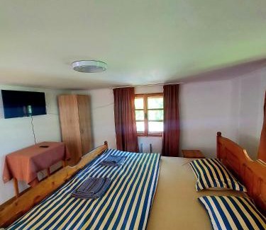 Gura Humorului Casa | PENSIUNEA BOCA VORONET