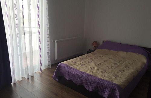 Bradu Casa | Pensiunea Bradului