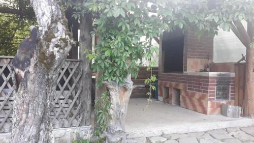Sucevita Casa | Pensiunea Casa Domniței Sucevița