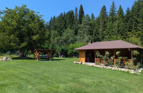 Ceahlau Casa | Pensiunea Casa Pancu